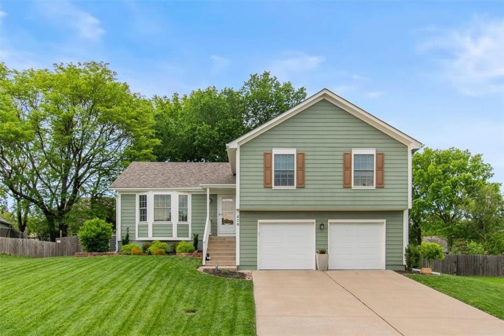 Listing Photo MLS #HMS2616402