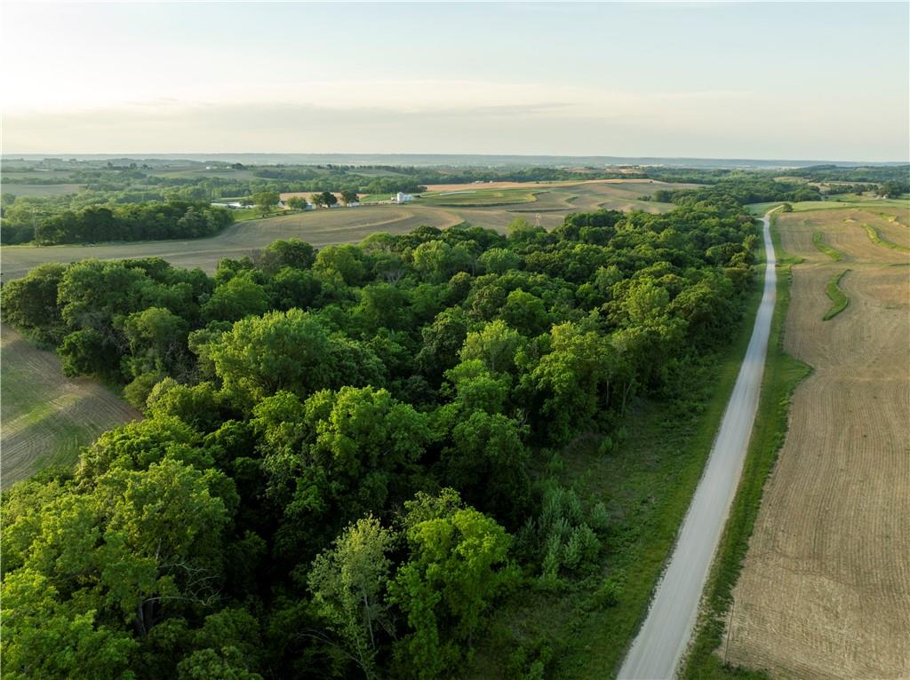 Listing Photo MLS #HMS2616657