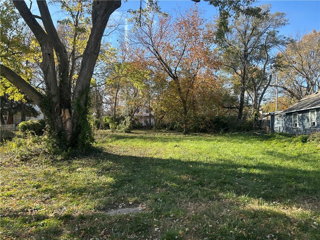Listing Photo MLS #HMS2616916