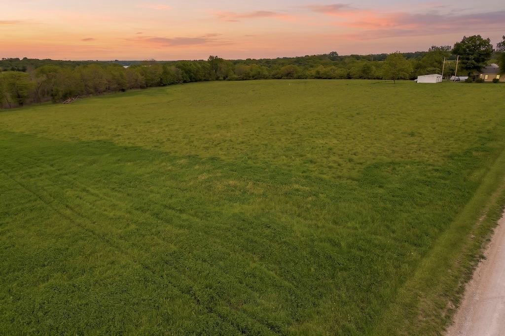 Listing Photo MLS #HMS2617292