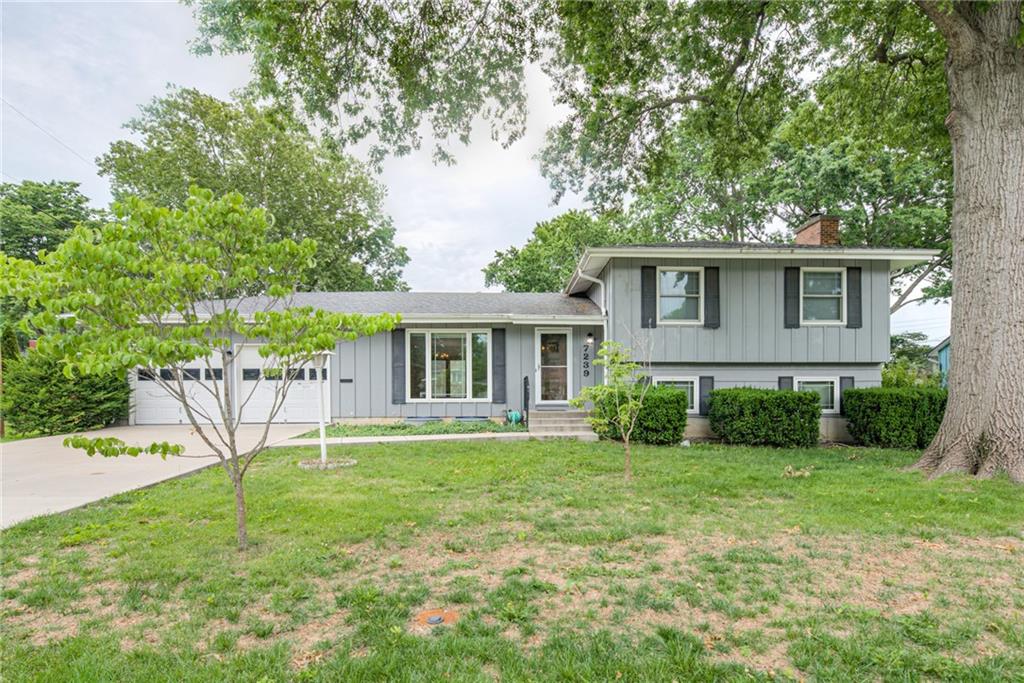 Listing Photo MLS #HMS2621837