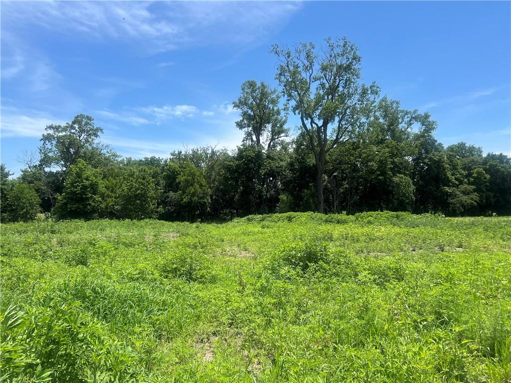 Listing Photo MLS #HMS2623633