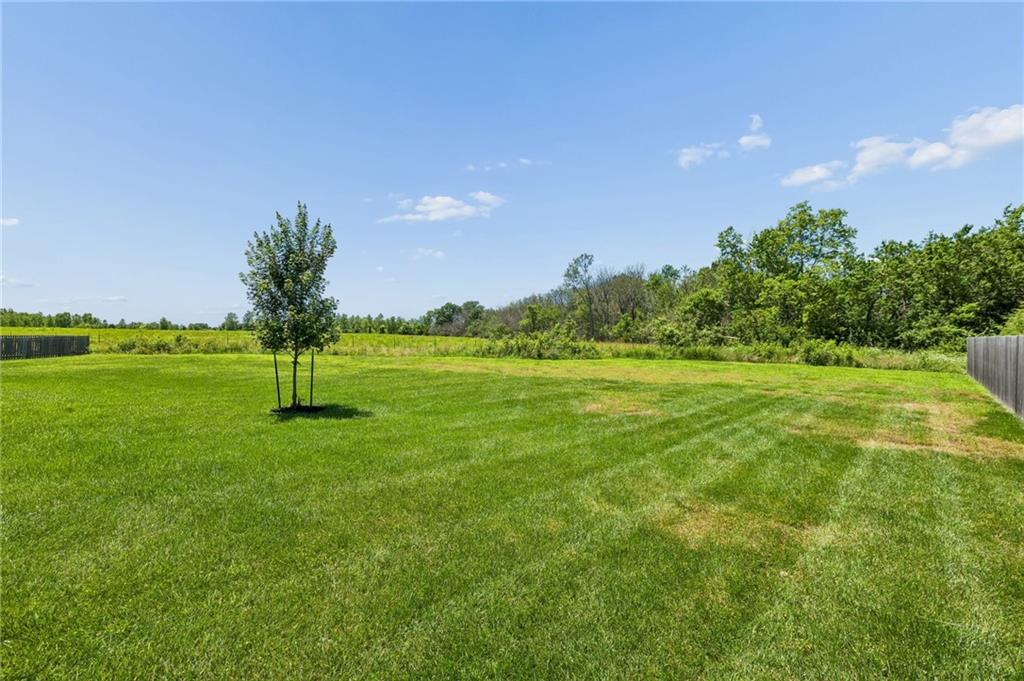 Listing Photo MLS #HMS2626504