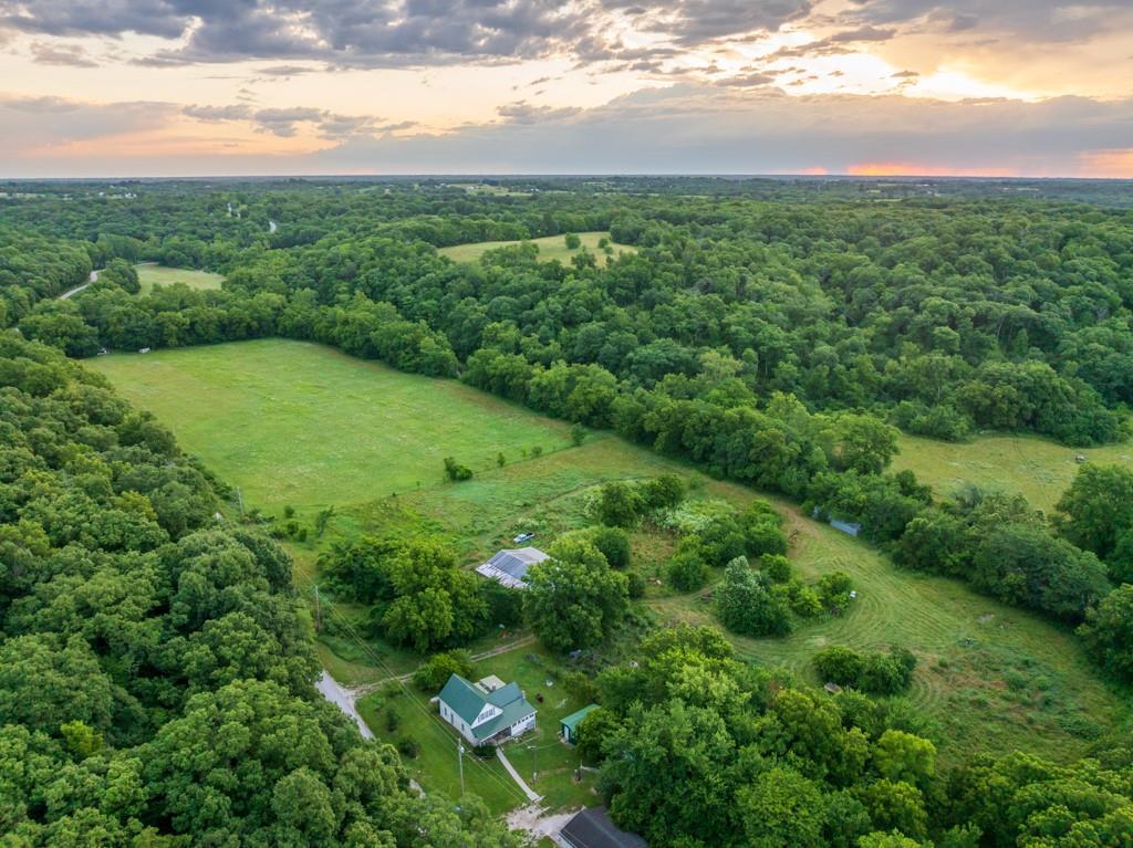 Listing Photo MLS #HMS2631119