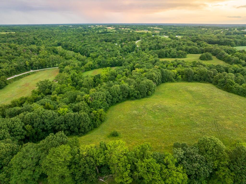 Listing Photo MLS #HMS2631121