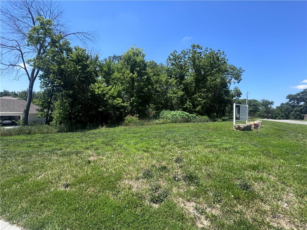 Listing Photo MLS #HMS2631316