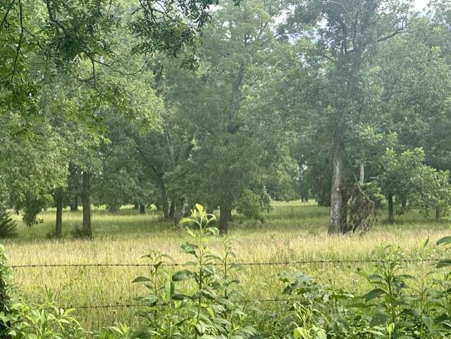 Listing Photo MLS #HMS2631854
