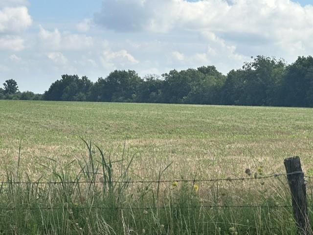 Listing Photo MLS #HMS2631868