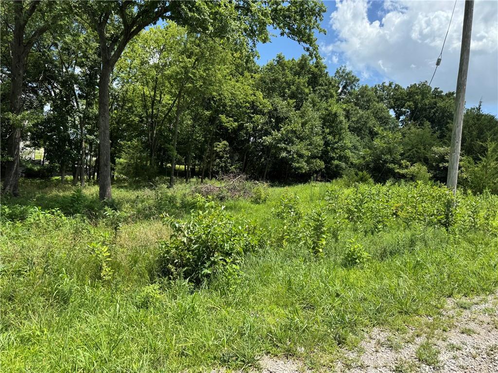 Listing Photo MLS #HMS2632099