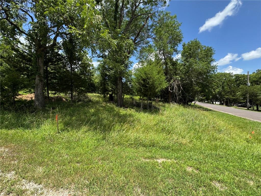 Listing Photo MLS #HMS2632103