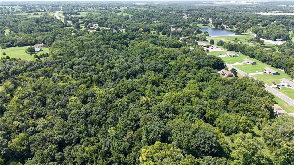 Listing Photo MLS #HMS2632603