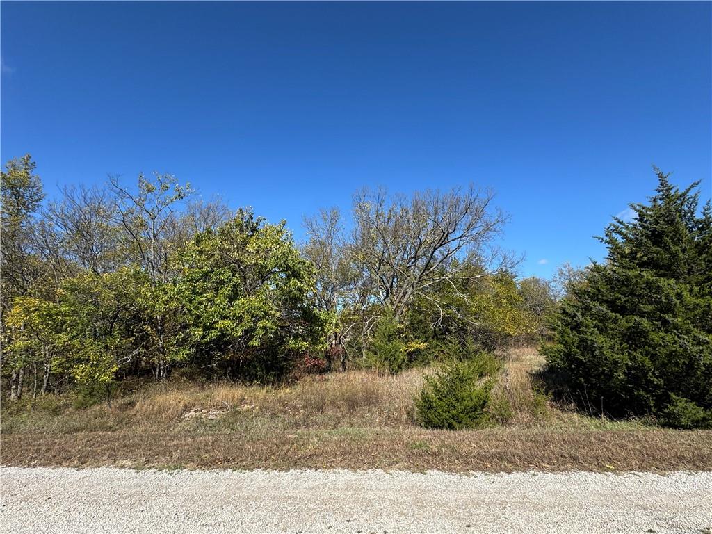 Listing Photo MLS #HMS2632879