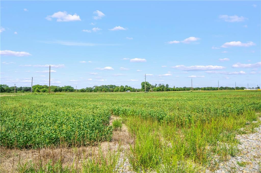 Listing Photo MLS #HMS2633452