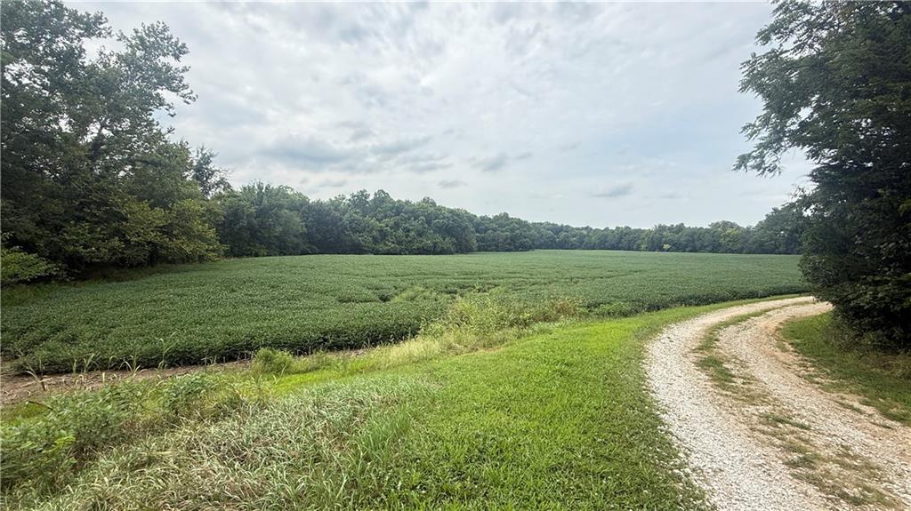 Listing Photo MLS #HMS2638150
