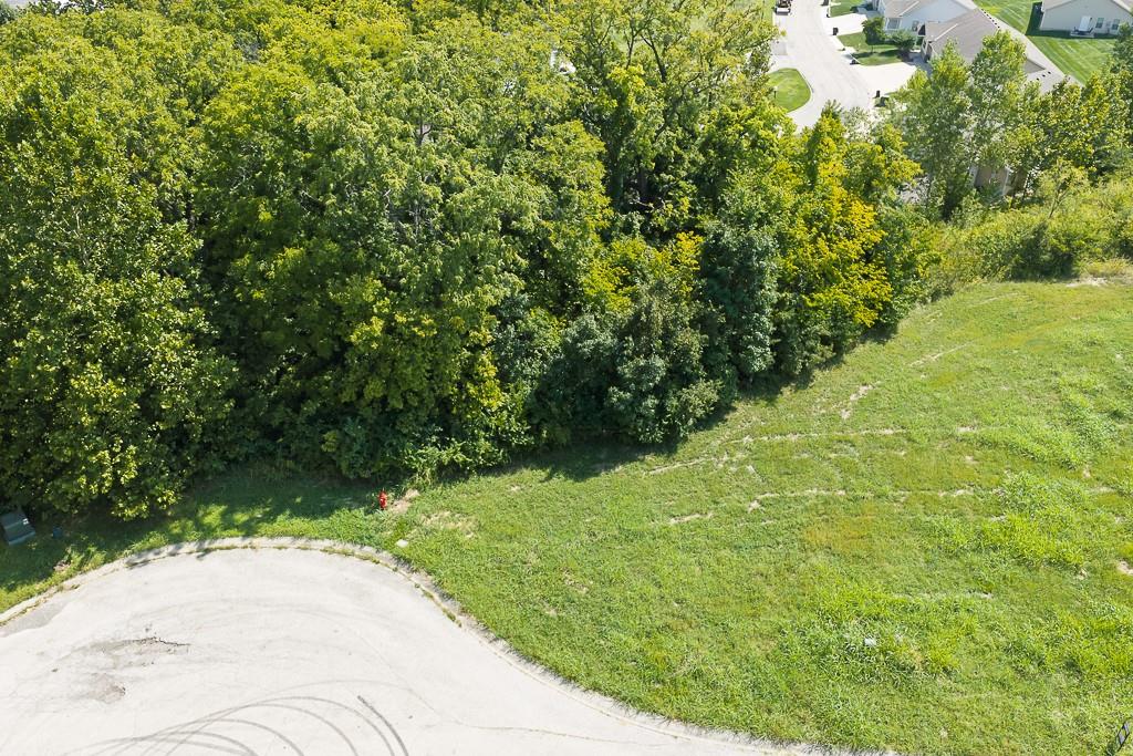 Listing Photo MLS #HMS2639383