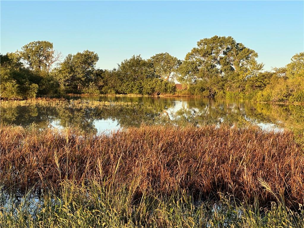 Listing Photo MLS #HMS2639629