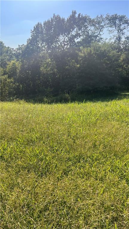 Listing Photo MLS #HMS2640932