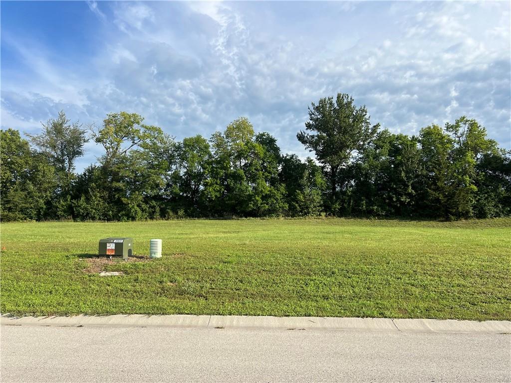 Listing Photo MLS #HMS2642172