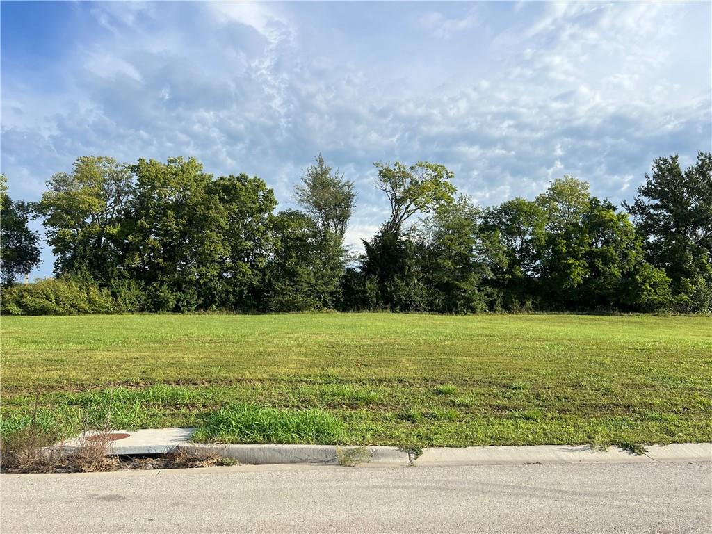 Listing Photo MLS #HMS2642193