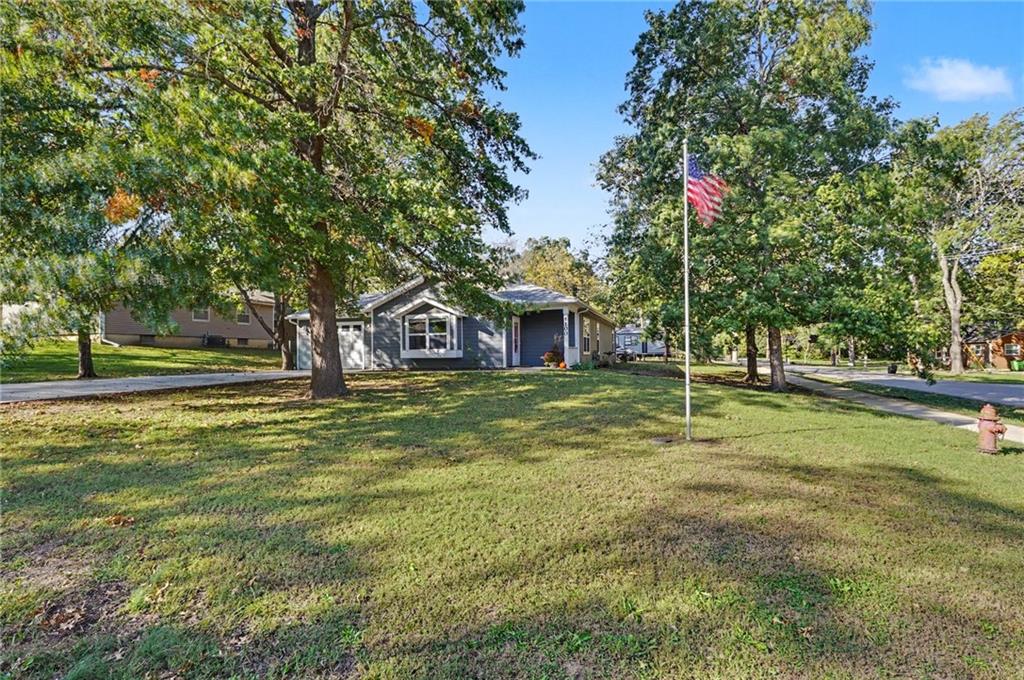 Listing Photo MLS #HMS2644374