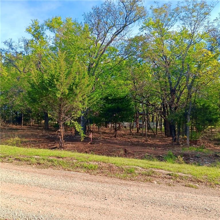 Listing Photo MLS #HMS2644749