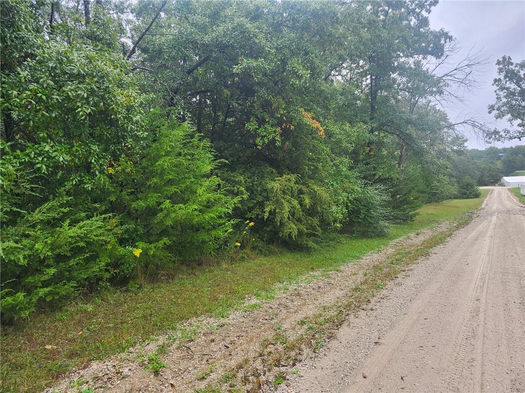 Listing Photo MLS #HMS2645730