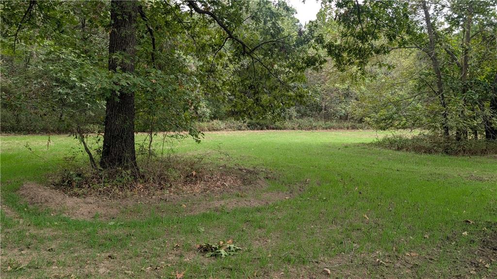 Listing Photo MLS #HMS2645905