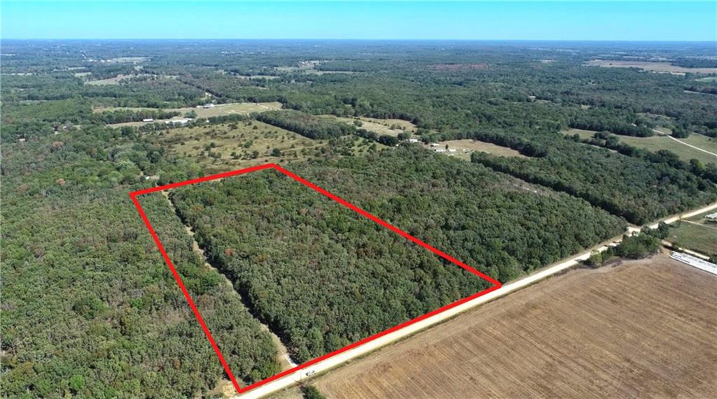 Listing Photo MLS #HMS2646005