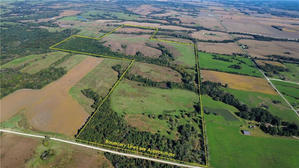 Listing Photo MLS #HMS2646128