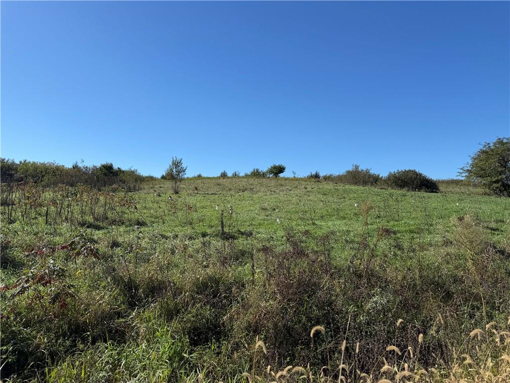Listing Photo MLS #HMS2646601