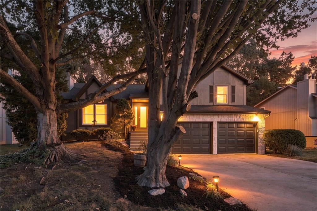Listing Photo MLS #HMS2646964