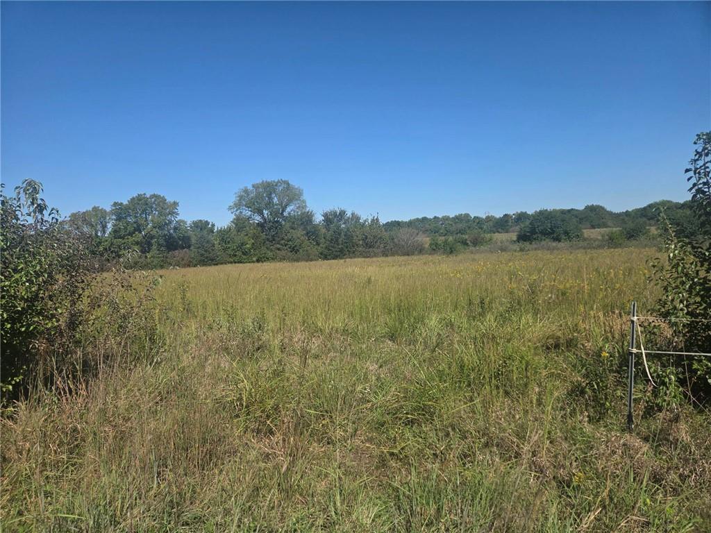 Listing Photo MLS #HMS2647111